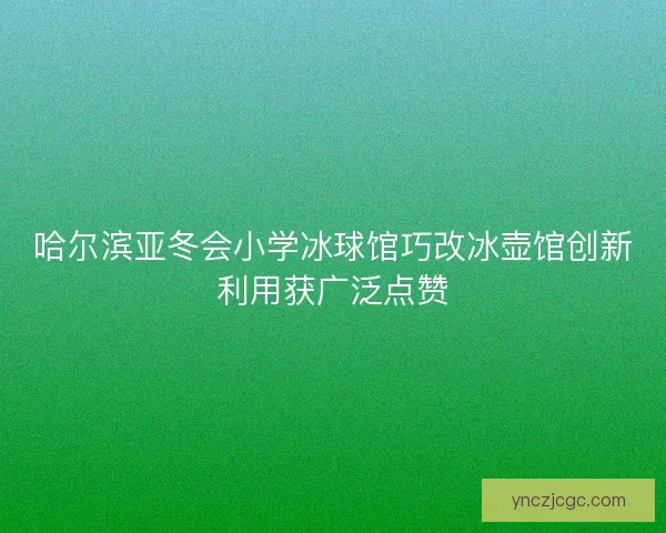 哈尔滨亚冬会小学冰球馆巧改冰壶馆创新利用获广泛点赞