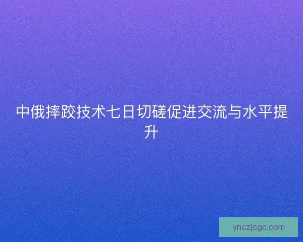 中俄摔跤技术七日切磋促进交流与水平提升