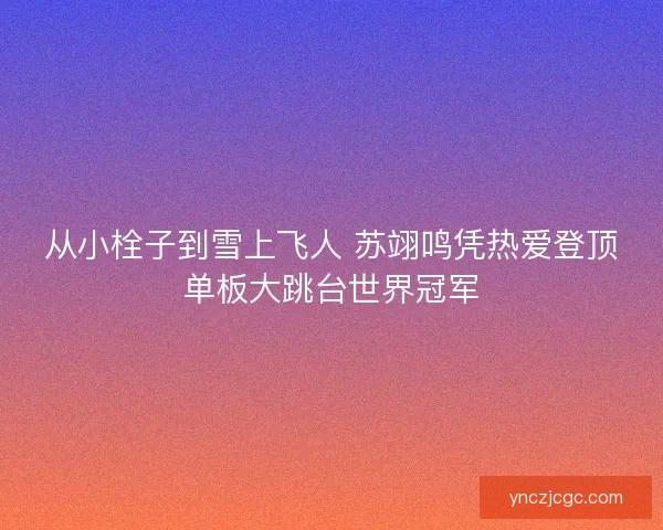 从小栓子到雪上飞人 苏翊鸣凭热爱登顶单板大跳台世界冠军