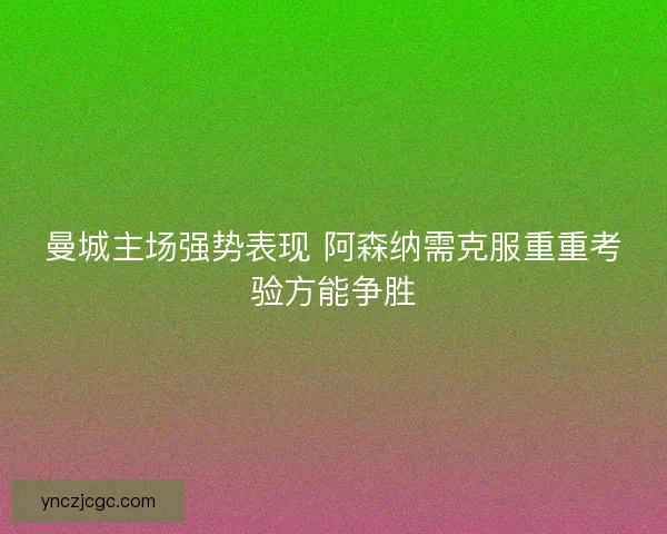 曼城主场强势表现 阿森纳需克服重重考验方能争胜