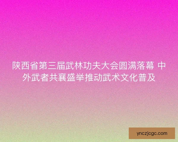 陕西省第三届武林功夫大会圆满落幕 中外武者共襄盛举推动武术文化普及